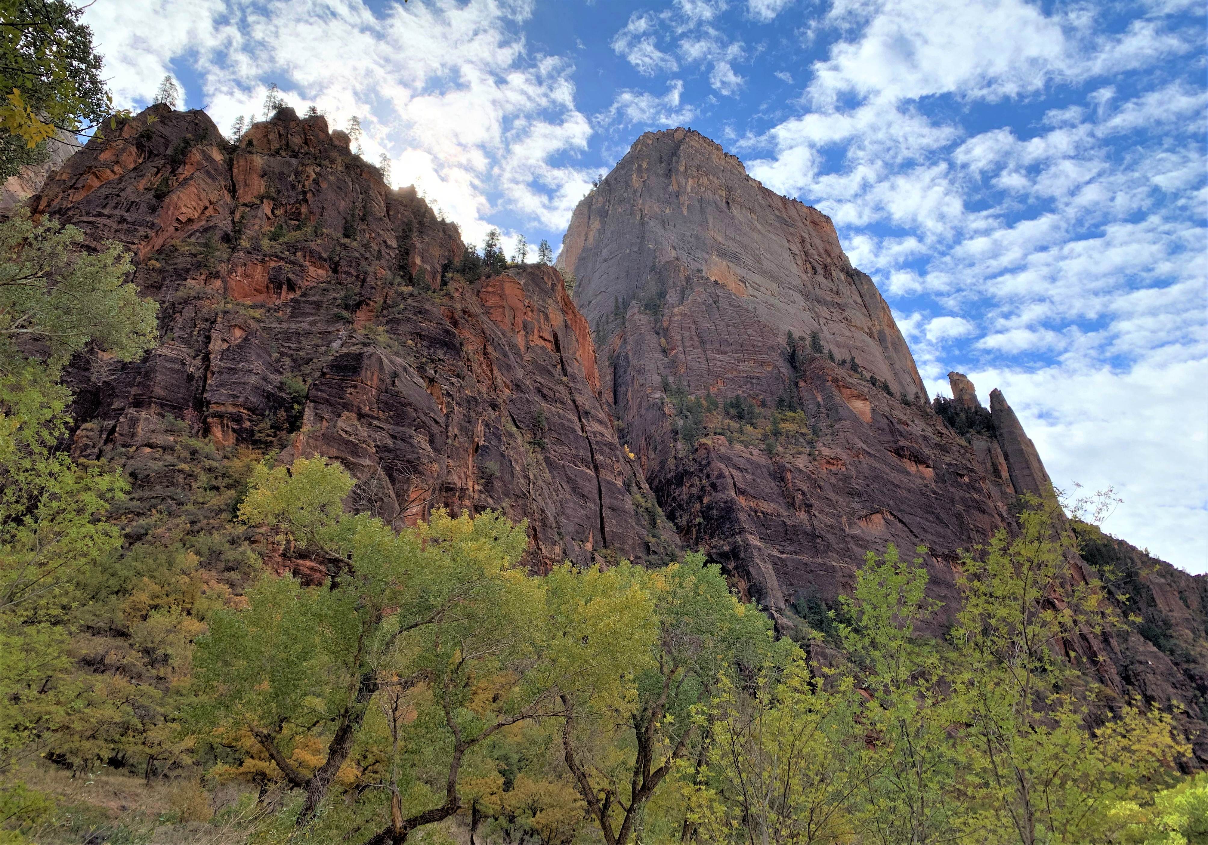 Zion NP